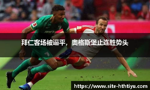 华体会体育公司